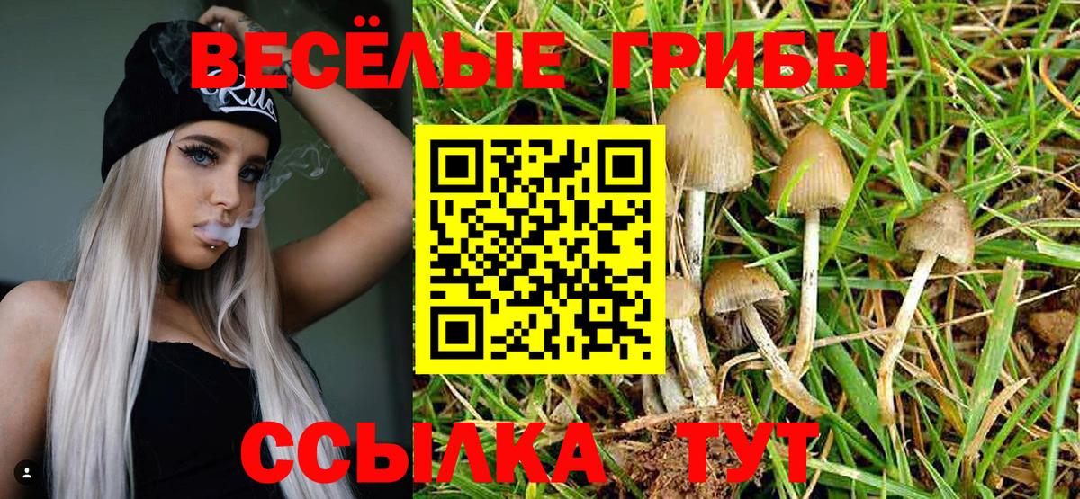 Псилоцибиновые грибы GOLDEN TEACHER Строитель