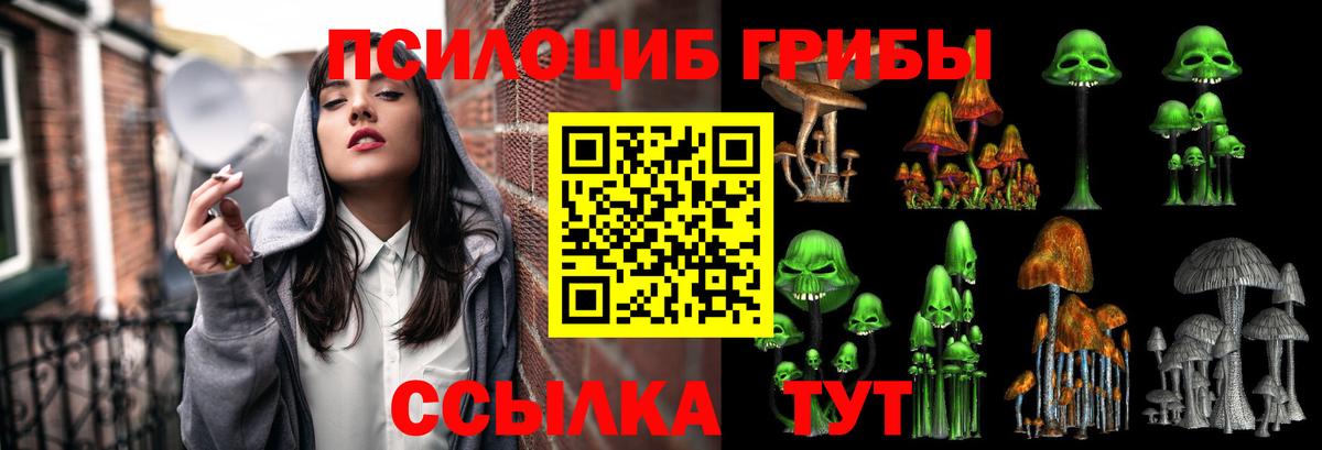 где можно купить   Вход с VPN  Строитель  Псилоцибиновые грибы MAGIC MUSHROOMS 